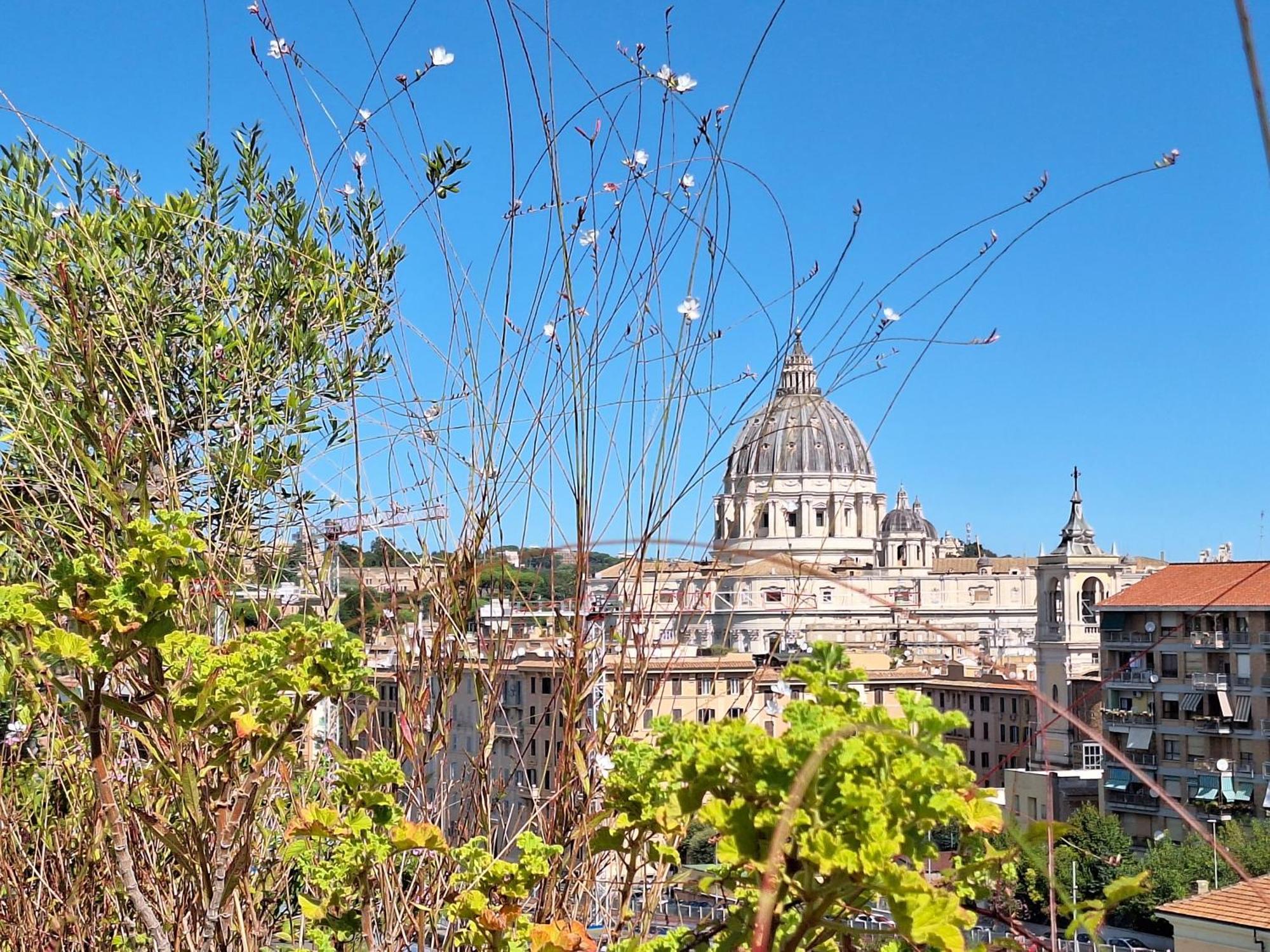 Delmirani'S Book Apartments - Vatican View Рим Екстер'єр фото